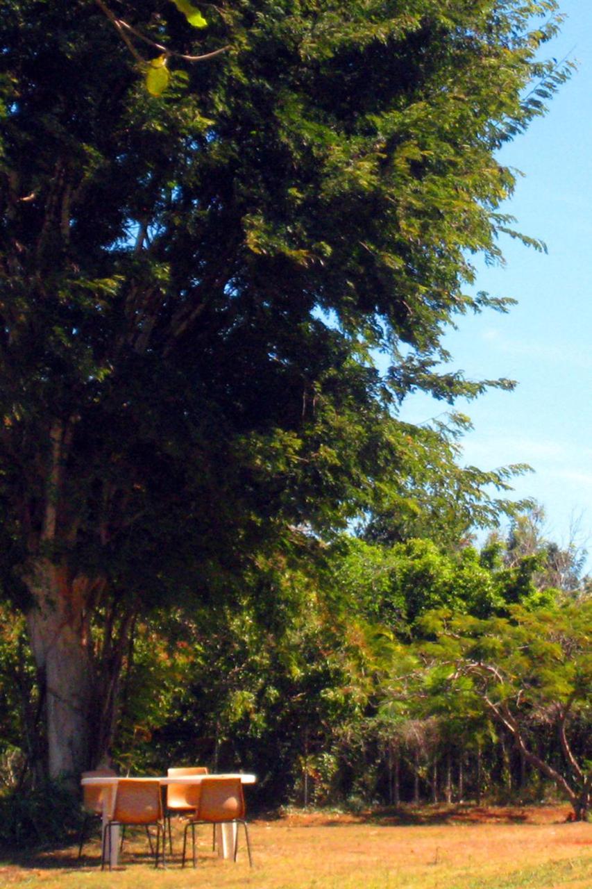 Childers Budget Accommodation Bagian luar foto