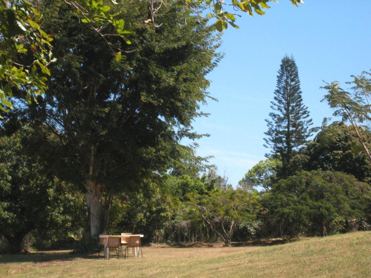 Childers Budget Accommodation Bagian luar foto